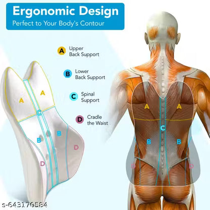 Ergonomic design illustration with anatomical labels on a clear background